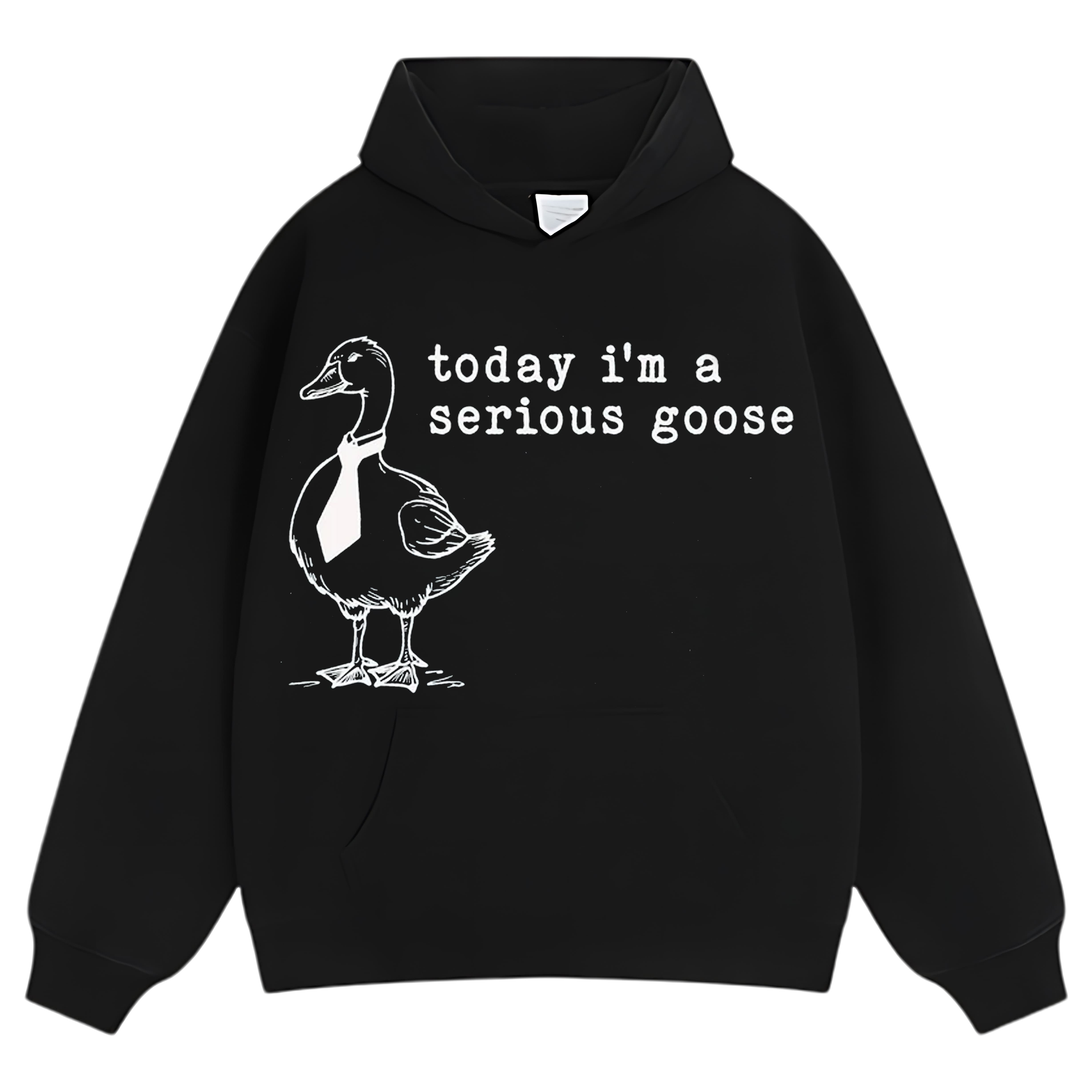 TODAY I'M A SERIOUS GOOSE V2 TEE & LS & HOODIE